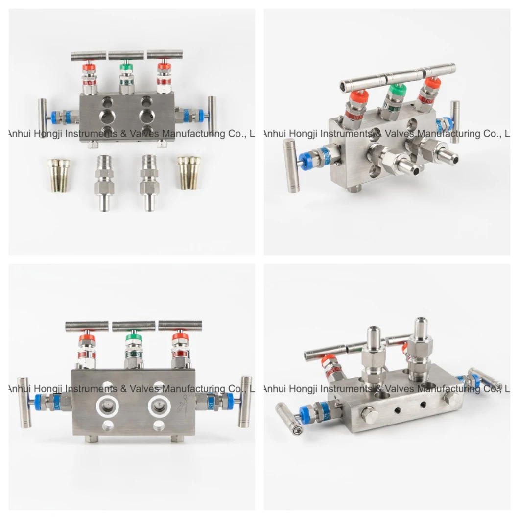 Stainless Steel 5-Way Instrumentation Manifolds Swagelok Type